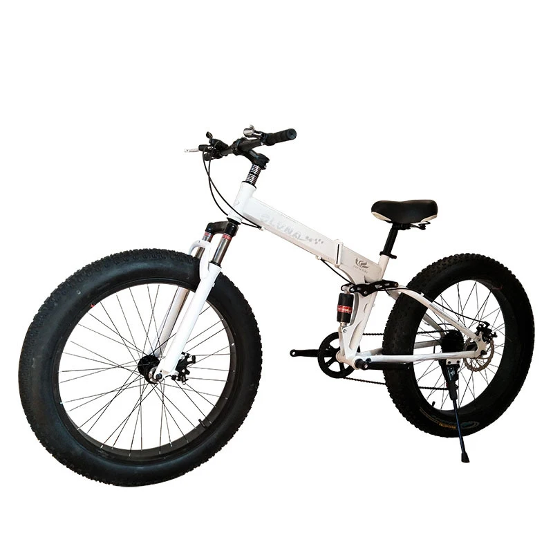 Cycling Low Gear - Nuova Bicicletta da Neve 4.0 per