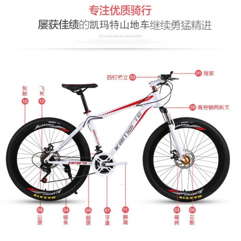 Cycling Low Gear - Bicicletta da Montagna e da Strada