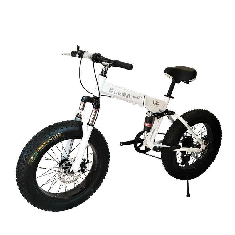 Nuova Bicicletta da Neve 4.0 p - Cycling Low Gear recensione e prezzo