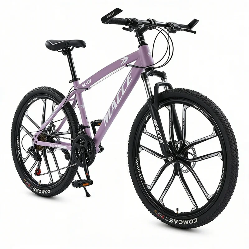 Bicicletta da Montagna di Alta - Cycling Low Gear recensione e prezzo