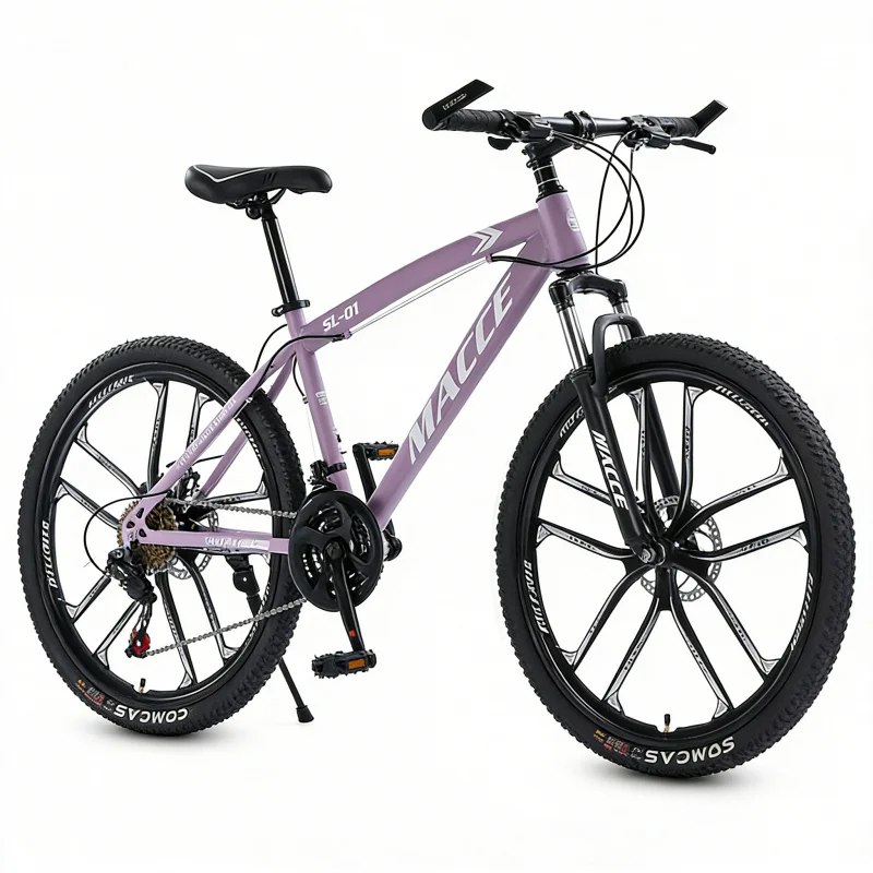 Bicicletta da Montagna di Alta - Cycling Low Gear recensione e prezzo
