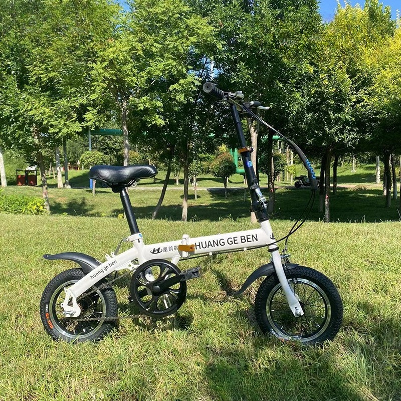 Biciclette pieghevoli da 20 po - Cycling Low Gear recensione e prezzo
