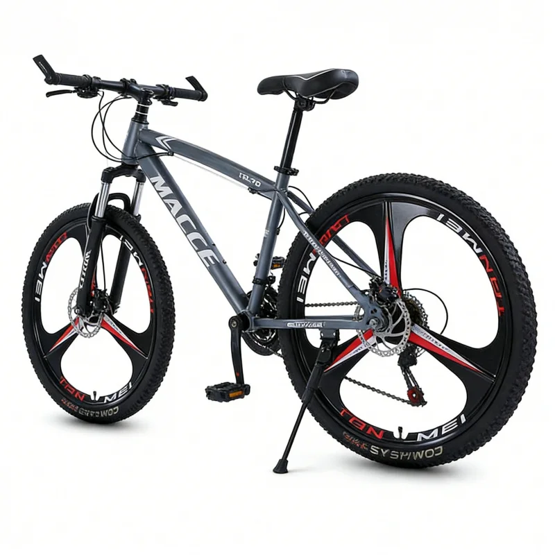 Bicicletta da Montagna Grigia  - Cycling Low Gear recensione e prezzo