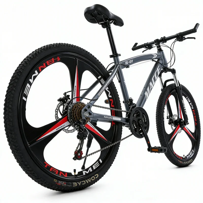 Bicicletta da Montagna Grigia  - Cycling Low Gear recensione e prezzo