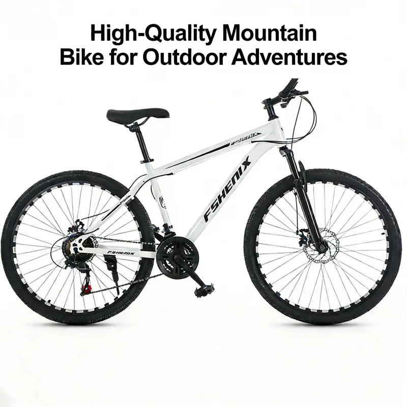 Bicicletta da Montagna Snow Wh - Cycling Low Gear recensione e prezzo